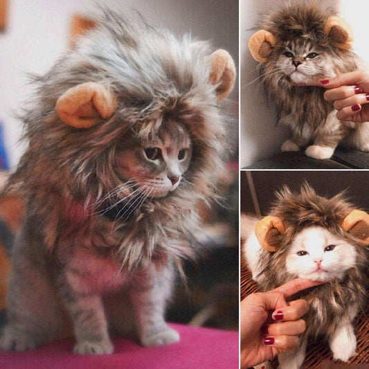 Funny Cute Pet Cat Costume Lion