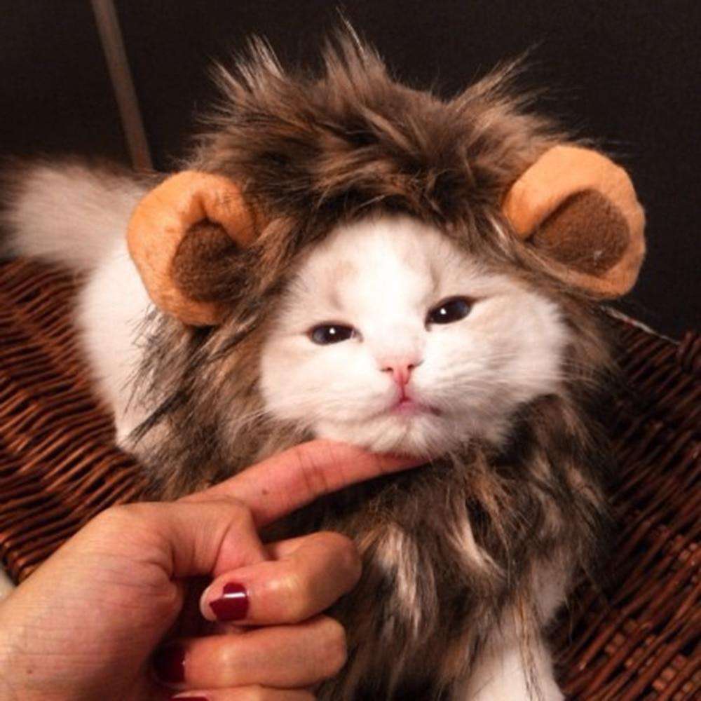 Funny Cute Pet Cat Costume Lion